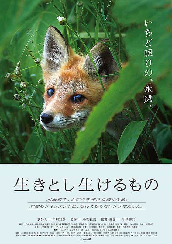 纪录片《自然四季交响曲  生きとし生けるもの》（2017日本）--高清4K/1080P迅雷BT资源下载
