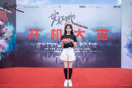 电视剧《完美的她》（2024中国大陆）--高清4K/1080P迅雷BT资源下载