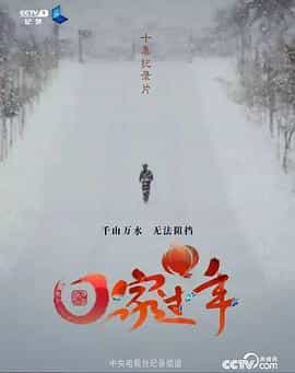 电视剧《回家过年 第一季》（2017中国大陆）--高清4K/1080P迅雷BT资源下载