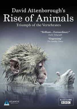 电视剧《动物的崛起：脊椎动物的胜利  David Attenborough's Rise of Animals: Triumph of the Vertebrates》（2013英国）--高清4K/1080P迅雷BT资源下载