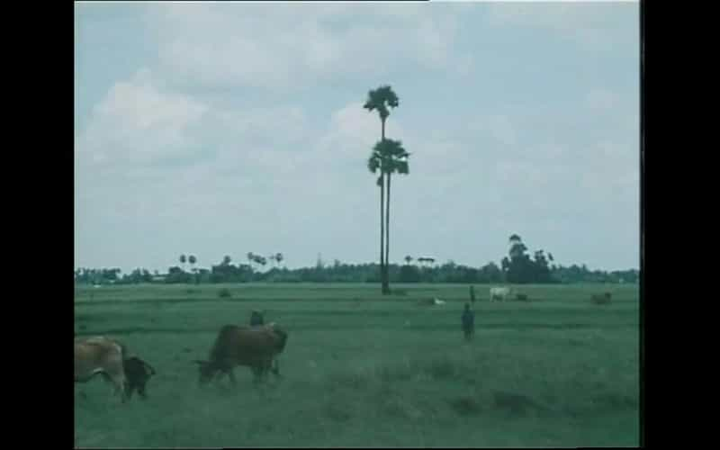 纪录片《柬埔寨的死寂零年  Year Zero: The Silent Death of Cambodia》（1979英国）--高清4K/1080P迅雷BT资源下载