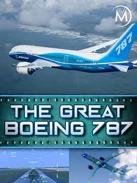 纪录片《The Great Boeing 787》（2017美国）--高清4K/1080P迅雷BT资源下载