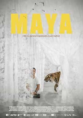 纪录片《养虎为友  Maya》（2020英国）--高清4K/1080P迅雷BT资源下载