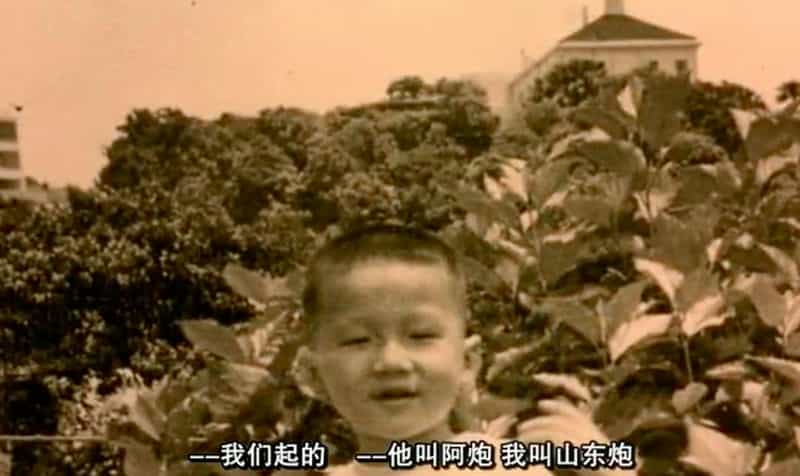 纪录片《龙的深处―失落的拼图》（2003中国香港）--高清4K/1080P迅雷BT资源下载