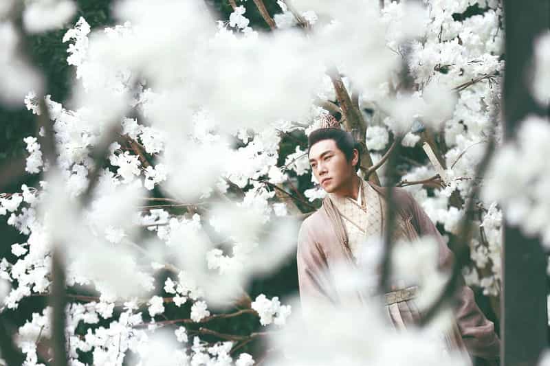 电视剧《锦绣南歌》（2020中国大陆）--高清4K/1080P迅雷BT资源下载