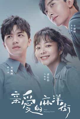 电视剧《亲爱的麻洋街》（2020中国大陆）--高清4K/1080P迅雷BT资源下载