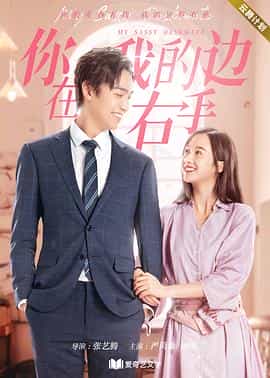 电视剧《你在我的右手边》（2020中国大陆）--高清4K/1080P迅雷BT资源下载