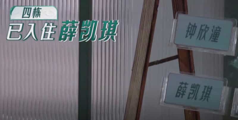 电视综艺《乘风破浪 第三季》（2022中国大陆）--高清4K/1080P迅雷BT资源下载