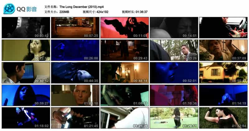 电影《The Long December》（2010美国）--高清4K/1080P迅雷BT资源下载