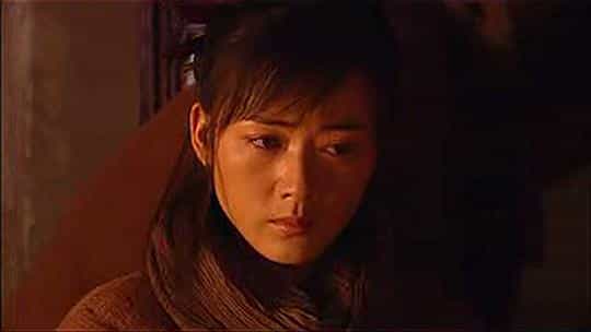 电影《关中刀客之肉瓤子》（2003中国大陆）--高清4K/1080P迅雷BT资源下载