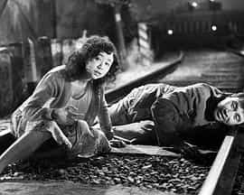 电影《野良猫》（1958日本）--高清4K/1080P迅雷BT资源下载