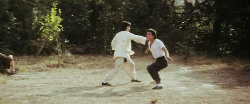 电影《蛇猫鹤混型掌》（1980中国香港）--高清4K/1080P迅雷BT资源下载