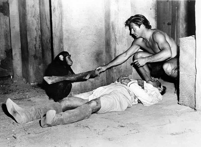电影《泰山降妖记  Tarzan and the She-Devil》（1953美国）--高清4K/1080P迅雷BT资源下载