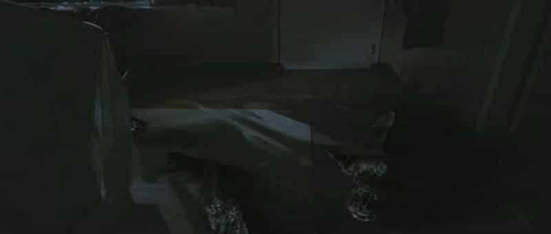 电影《蛇头鱼  Snakehead Terror》（2004加拿大 / 美国）--高清4K/1080P迅雷BT资源下载