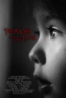 电影《Primrose Lane》（2013美国）--高清4K/1080P迅雷BT资源下载