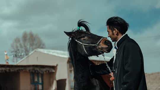 电影《拉姆与嘎贝》（2019中国大陆）--高清4K/1080P迅雷BT资源下载