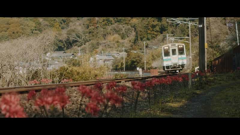 电影《铁道：家色  かぞくいろ RAILWAYS わたしたちの出発》（2018日本）--高清4K/1080P迅雷BT资源下载