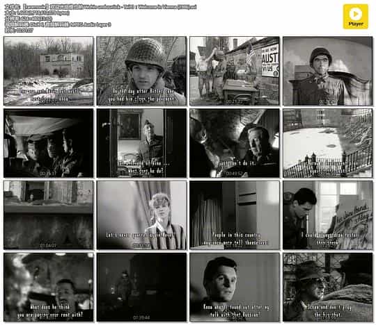 电影《欢迎光临维也纳  Wohin und zurück - Teil 3: Welcome in Vienna》（1986奥地利）--高清4K/1080P迅雷BT资源下载