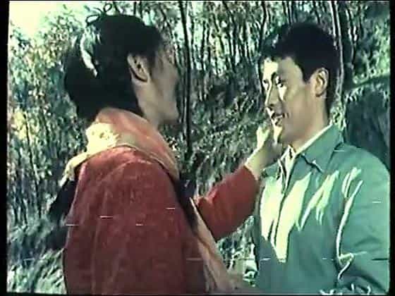 电影《六斤县长》（1983中国大陆）--高清4K/1080P迅雷BT资源下载