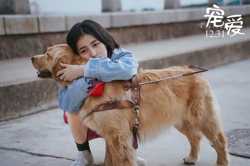 电影《宠爱》（2019中国大陆）--高清4K/1080P迅雷BT资源下载