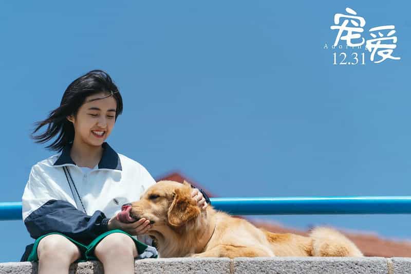 电影《宠爱》（2019中国大陆）--高清4K/1080P迅雷BT资源下载