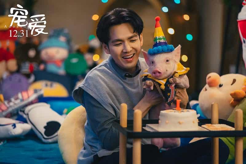 电影《宠爱》（2019中国大陆）--高清4K/1080P迅雷BT资源下载