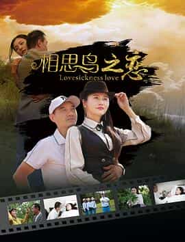 电影《相思鸟之恋》（2019中国大陆）--高清4K/1080P迅雷BT资源下载