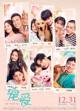 电影《宠爱》（2019中国大陆）--高清4K/1080P迅雷BT资源下载