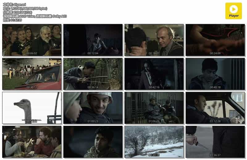 电影《吉普赛  Cigán》（2011捷克/捷克斯洛伐克）--高清4K/1080P迅雷BT资源下载