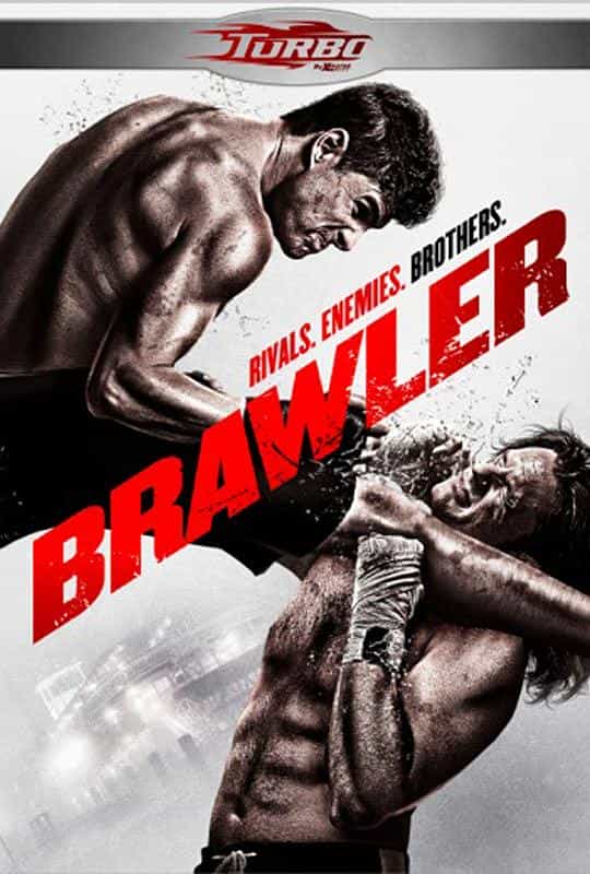 电影《地下拳赛  Brawler》（2011美国）--高清4K/1080P迅雷BT资源下载