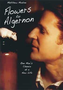 电影《献给阿尔吉侬的花束  Flowers for Algernon》（2000美国 / 加拿大）--高清4K/1080P迅雷BT资源下载