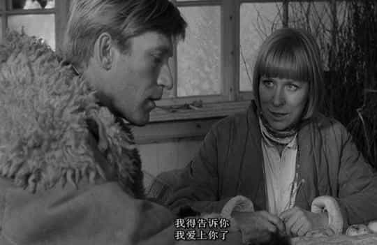 电影《死刑  Der Fangschuß》（1976法国 / 西德）--高清4K/1080P迅雷BT资源下载