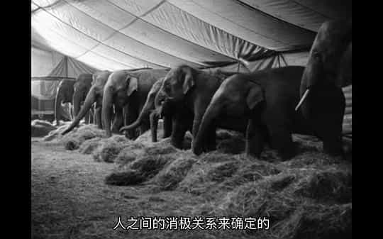 电影《马戏院帐篷顶上的艺人  Die Artisten in der Zirkuskuppel: Ratlos》（1968西德）--高清4K/1080P迅雷BT资源下载