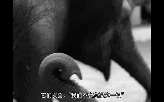 电影《马戏院帐篷顶上的艺人  Die Artisten in der Zirkuskuppel: Ratlos》（1968西德）--高清4K/1080P迅雷BT资源下载