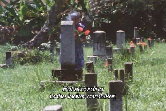 电影《南洋姐  からゆきさん》（1975日本）--高清4K/1080P迅雷BT资源下载