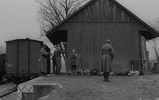 电影《死刑  Der Fangschuß》（1976法国 / 西德）--高清4K/1080P迅雷BT资源下载