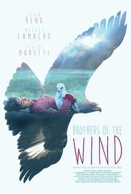 电影《追鹰日记  Brothers of the Wind》（2015奥地利）--高清4K/1080P迅雷BT资源下载