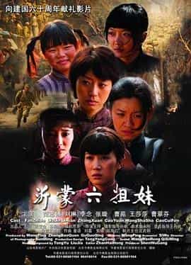 电影《沂蒙六姐妹》（2009中国大陆）--高清4K/1080P迅雷BT资源下载
