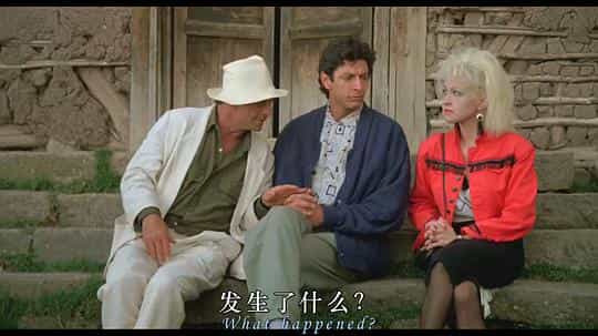 电影《灵通姻缘线  Vibes》（1988美国）--高清4K/1080P迅雷BT资源下载