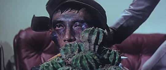 电影《欢乐神仙窝  歡樂神仙窩》（1981中国香港）--高清4K/1080P迅雷BT资源下载