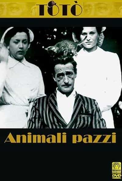 电影《Animali pazzi》（1939意大利）--高清4K/1080P迅雷BT资源下载