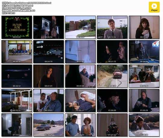 电影《圣诞之家  Little Miss Millions》（1993美国）--高清4K/1080P迅雷BT资源下载