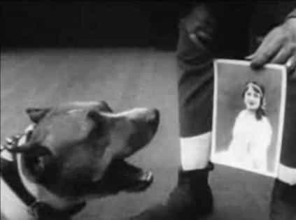电影《大胖的勇犬》（1915美国）--高清4K/1080P迅雷BT资源下载