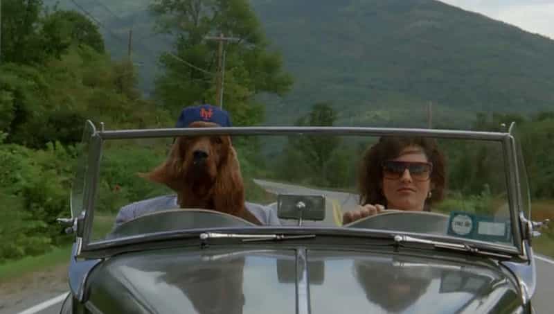 电影《滑稽农场  Funny Farm》（1988美国）--高清4K/1080P迅雷BT资源下载