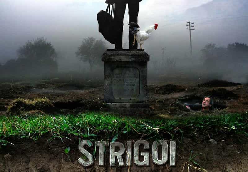 电影《村里的吸血鬼  Strigoi》（2009英国）--高清4K/1080P迅雷BT资源下载