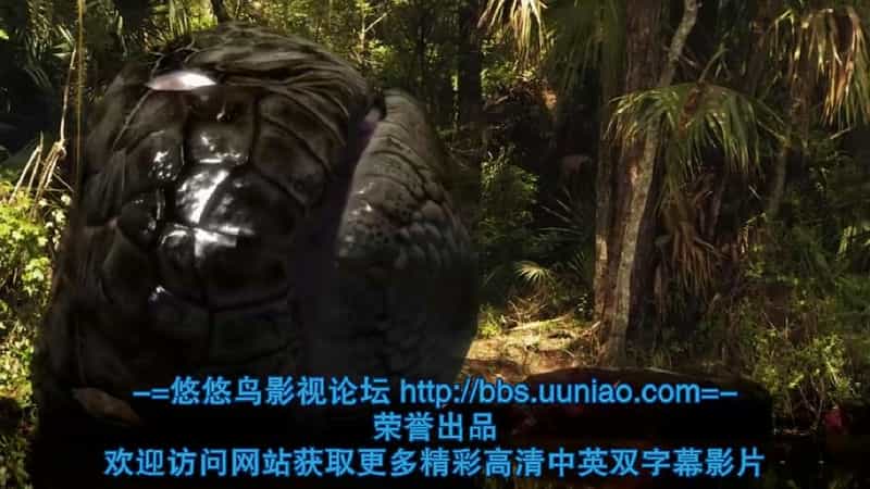 电影《巨蟒大战恐鳄  Mega Python vs. Gatoroid》（2011美国）--高清4K/1080P迅雷BT资源下载