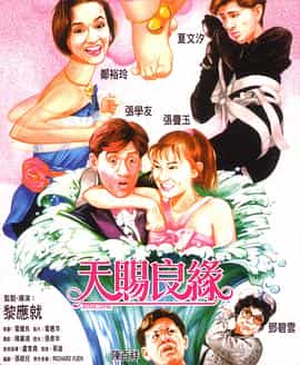 电影《天赐良缘》（1987中国香港）--高清4K/1080P迅雷BT资源下载