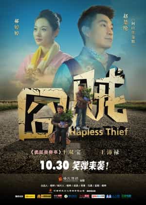 电影《囧贼》（2015中国大陆）--高清4K/1080P迅雷BT资源下载