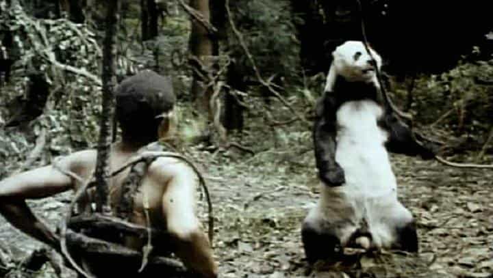 电影《非洲超人》（1994中国香港）--高清4K/1080P迅雷BT资源下载