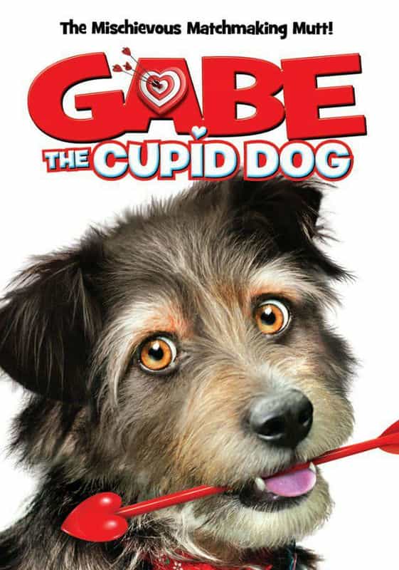 电影《狗狗爱神  Gabe the Cupid Dog》（2012美国）--高清4K/1080P迅雷BT资源下载